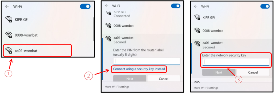 Connecting on Windows when it tries to use a PIN.